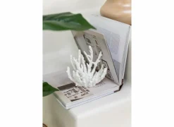 Deco Koraal S H16cm