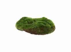Deco Kunstmos 14,7cm - kunststof - groen