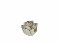 Deco Rosae Ø14,5cm