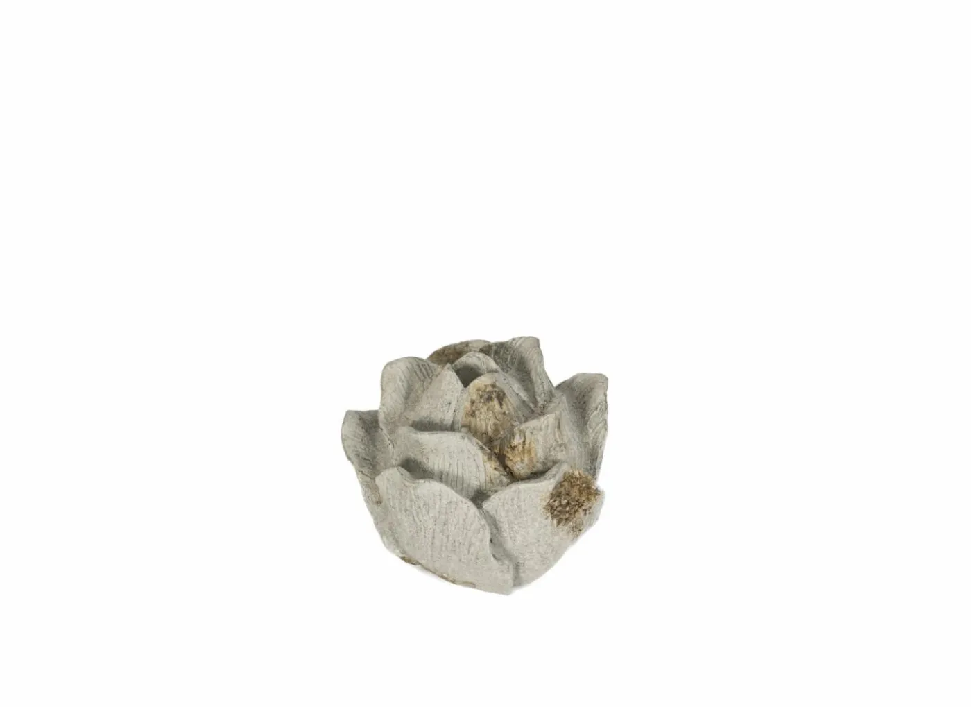 Deco Rosae Ø14,5cm