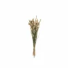 Decoratietak Bundel gedroogde pluimen  75cm