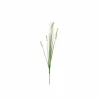 Decoratietak Dogtail H84cm