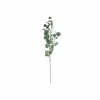 Decoratietak Eucalyptus H92cm