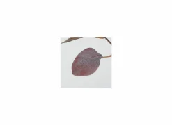Decoratietak Eucalyptus H91cm