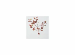 Decoratietak Eucalyptus H91cm