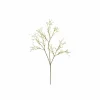 Decoratietak Gibskruid H60cm