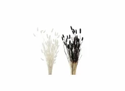 Decoratietak Hazenstaart 70cm - gedroogde materie - wit/zwart