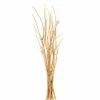 Decoratietak H55cm