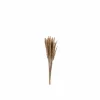 Decoratietak Pennisetum 85cm