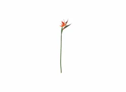 Decoratietak Vogelbek H83cm