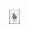 Fotokader 40x30cm - glas - bruin & groen