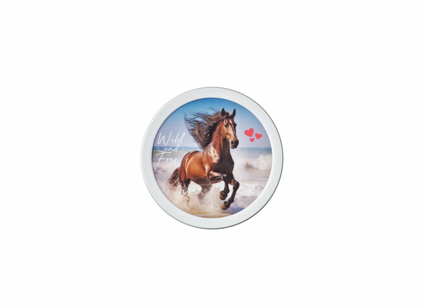 Fruitdoos Campus 300ml wild horse