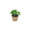 Kunstplant Basilicum H18,5cm