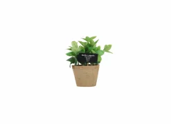 Kunstplant Munt H20cm