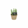 Kunstplant Rozemarijn H18cm