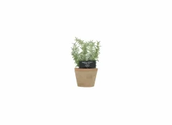 Kunstplant Tijm  H21,5cm