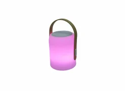 LED Speaker Firefly H25,5cm