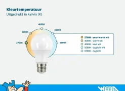 Ledlamp kogel 3W E14