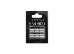 Magneten zilver, set van 12