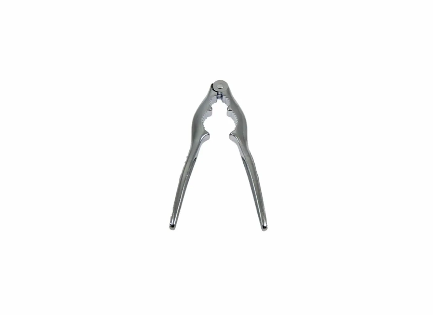 Notenkraker Cosy&Trendy