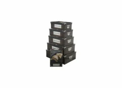 Opbergbox Cocoon - karton - multicolor set van 6