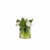 Ranonkel in Vaas H22cm - kunststof & glas - wit/groen