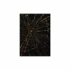 Schilderij Spiderweb 100x140cm