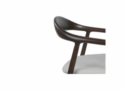 Stoel Donna 56,5x53x79,4cm - beuk massief & polyestervezel - walnoot
