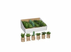 Vetplant H12cm